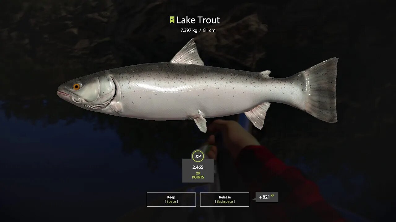 Russian Fishing 4 Kuori lake Lake Trout 7 . 397 Kg