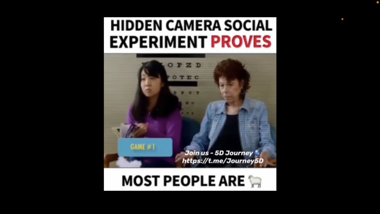 Experiment Proves Most People Are Sheep