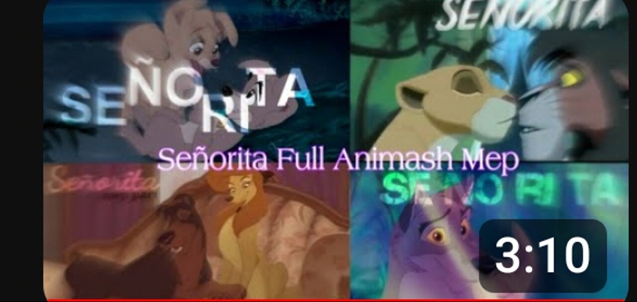 Senorita-Animash.
