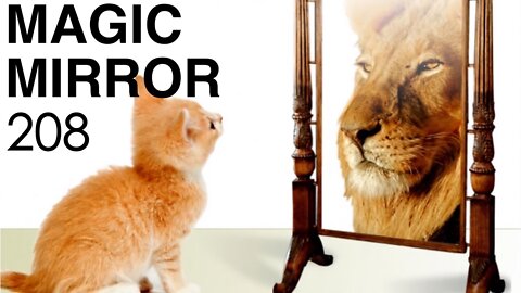 Magic Mirror 208 - Irreplaceable Translation