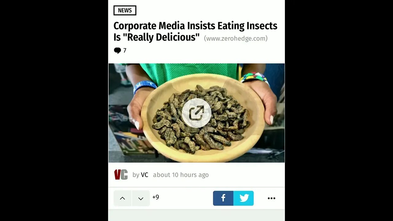 UN THINKS STARVING IS AN ASSET | EAT BUGS SLAVES