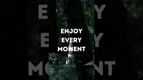 Enjoy Every Moment