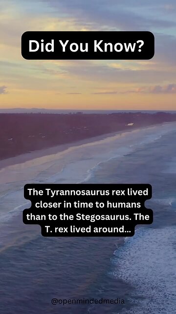 Who thinks they could take on a T-Rex? 💪