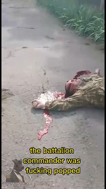 A company commander killed the battalion commander to save his unit from going into a meat grinder.