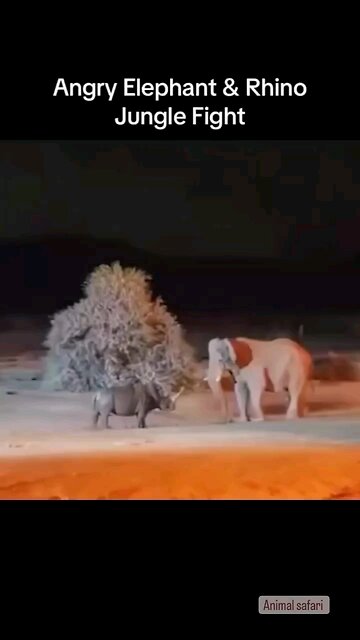 🐘 Eliphant vs Rhino