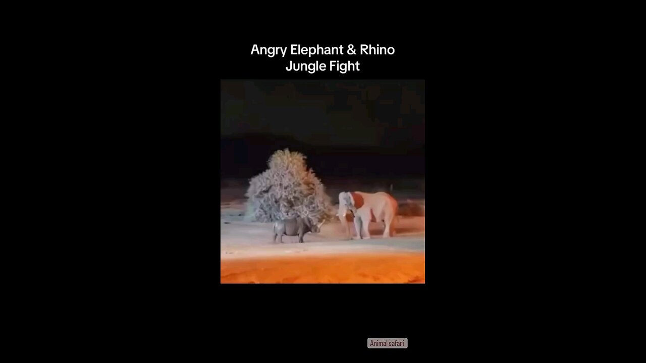 🐘 Eliphant vs Rhino