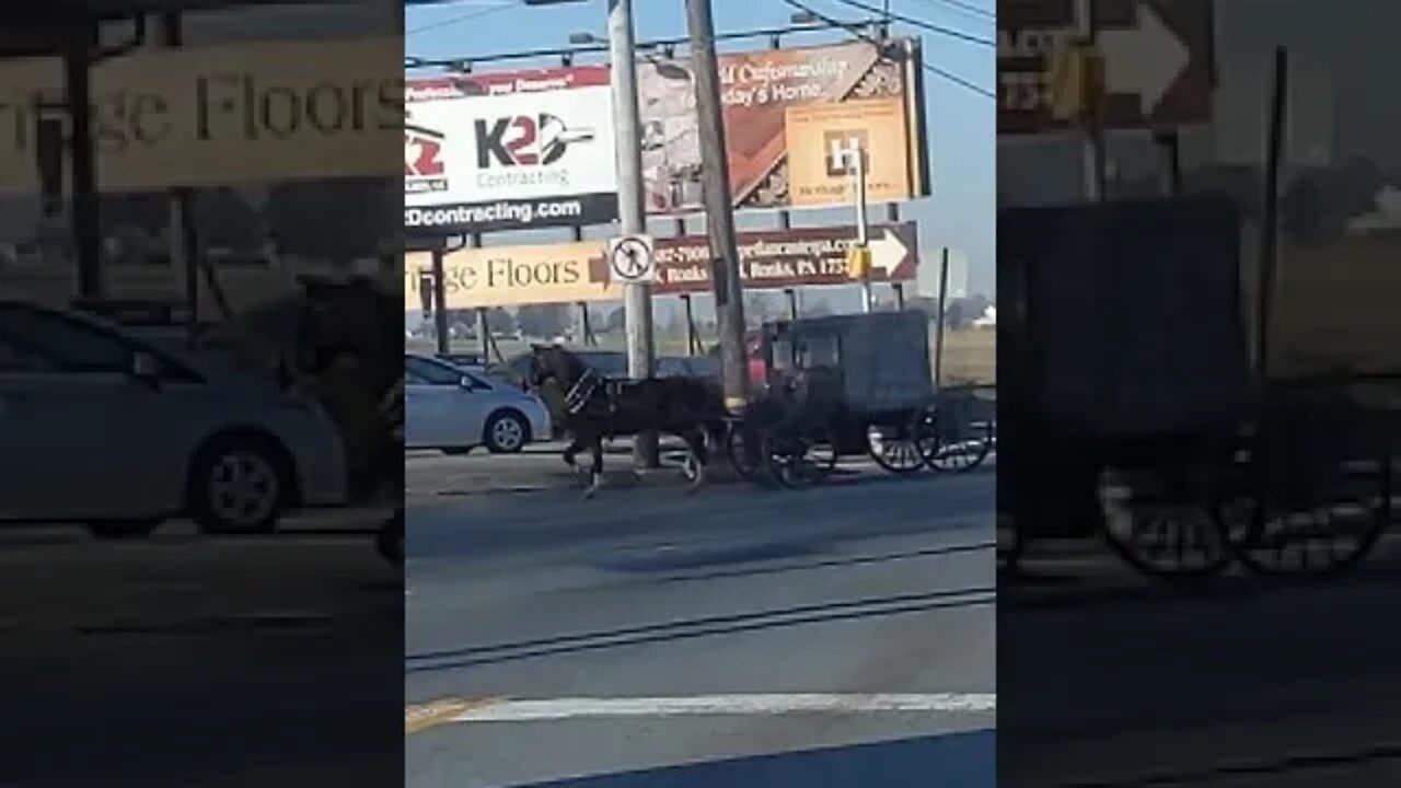 Amish DRIVE BY