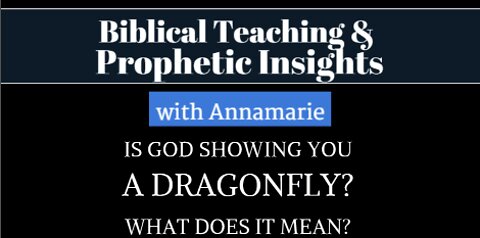 Prophetic Insight: Is God Showing You A Dragonfly? What Does It Mean?
