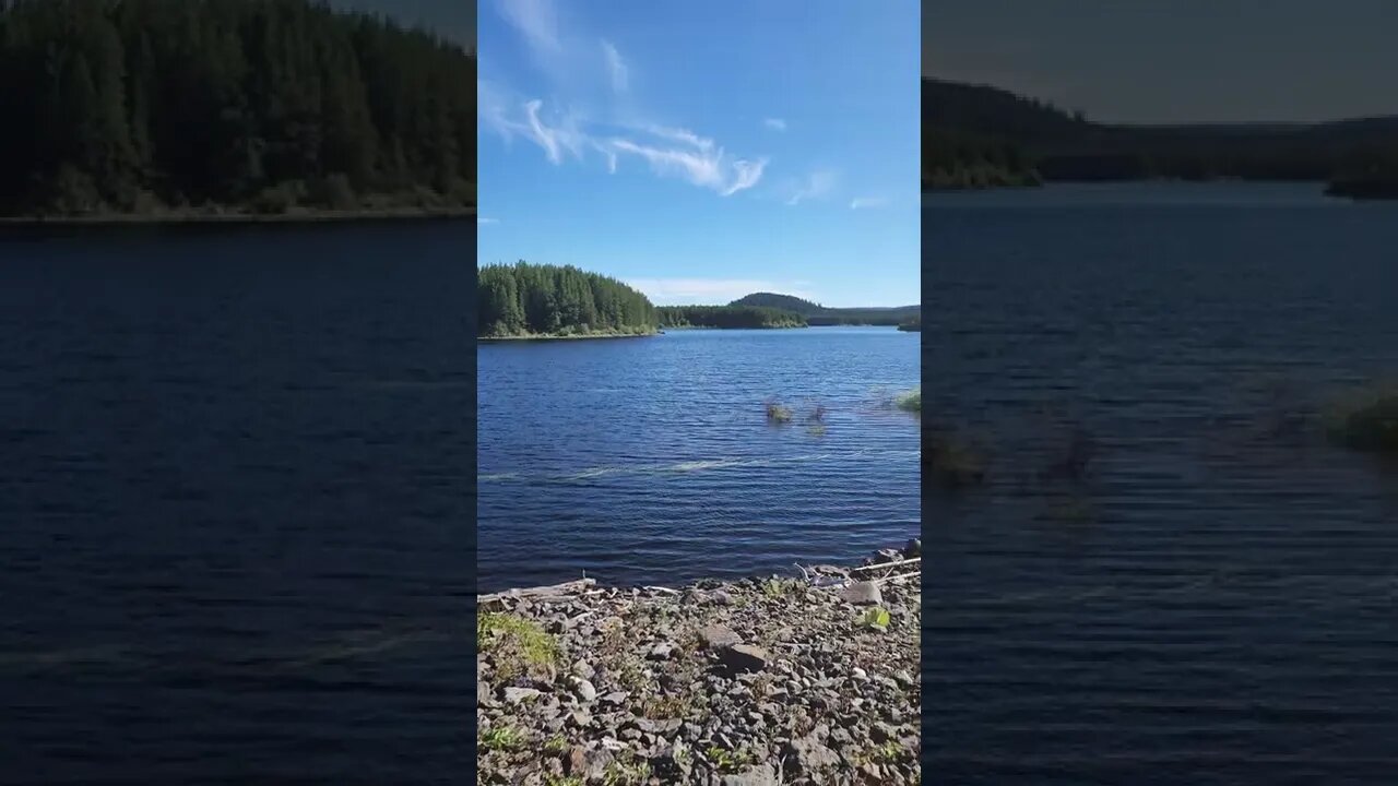 Grizzly Lake canal recreational site #camping #explore #britishcolumbia #canada