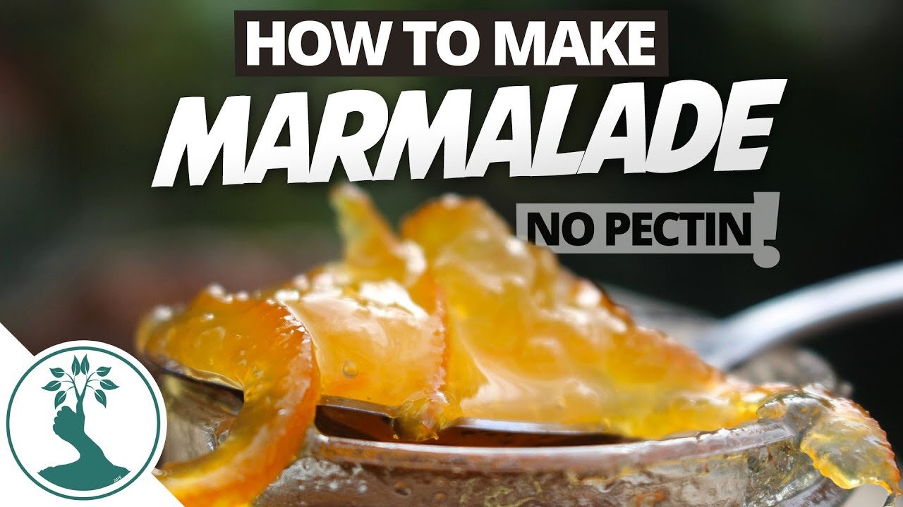 How to Make Your Own Marmalade Jam - NO PECTIN NEEDED! Orange Marmalade Recipe