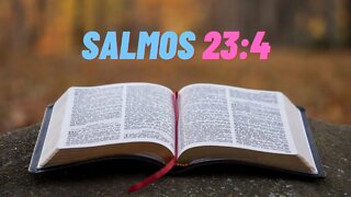 Salmos 23:4 #Shorts