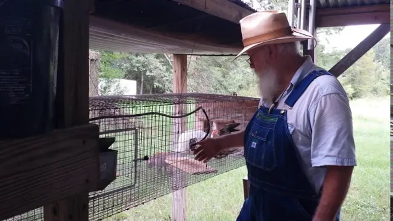 WATCH Before You BUILD, DIY RABBIT HUTCH/CAGES