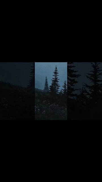 Beautiful early morning view!