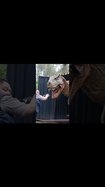 #shorts #2022 funny,prank,funjokes,dad jokes,funny memes,funny video,fun,laughing,funny animal,knock