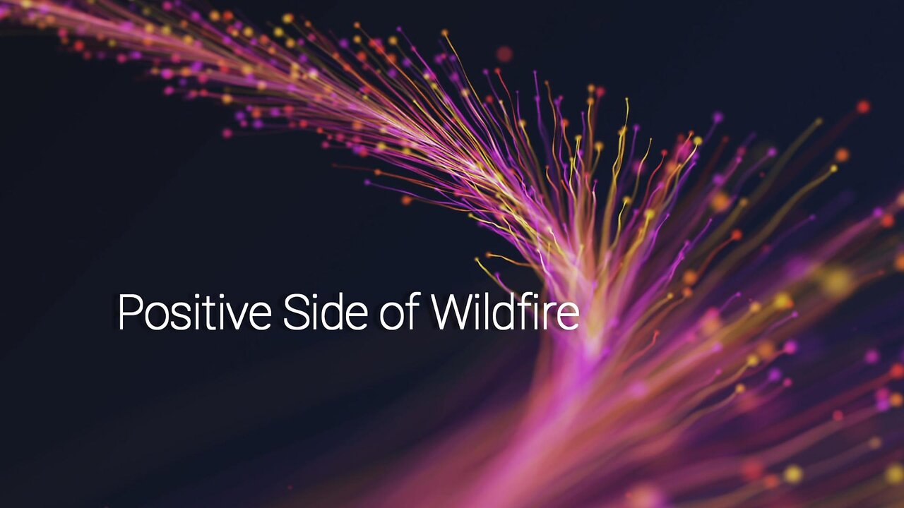 Discover How Wildfires Can Actually Benefit Our Ecosystems