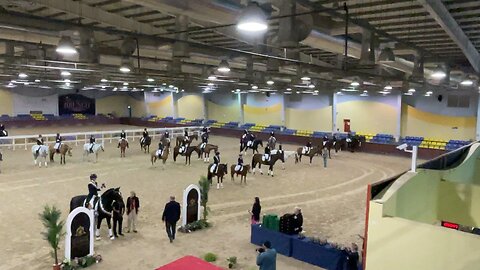 Prize giving ceremony in last dressage competition of 2022/2023 at UAE