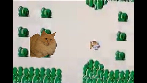 A rare view beyond the green screen of Johnny.
