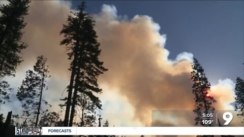 3,000-year-old tree threatened by Yosemite wildfire