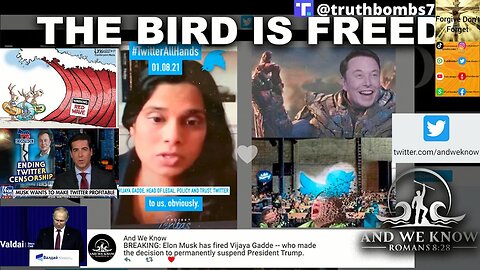 10/28/2022 Cue up Rockin Robin, MANY are CELEBRATING MUSK takeover, 20% Slides MATCHING UP! PAIN! PRAY!