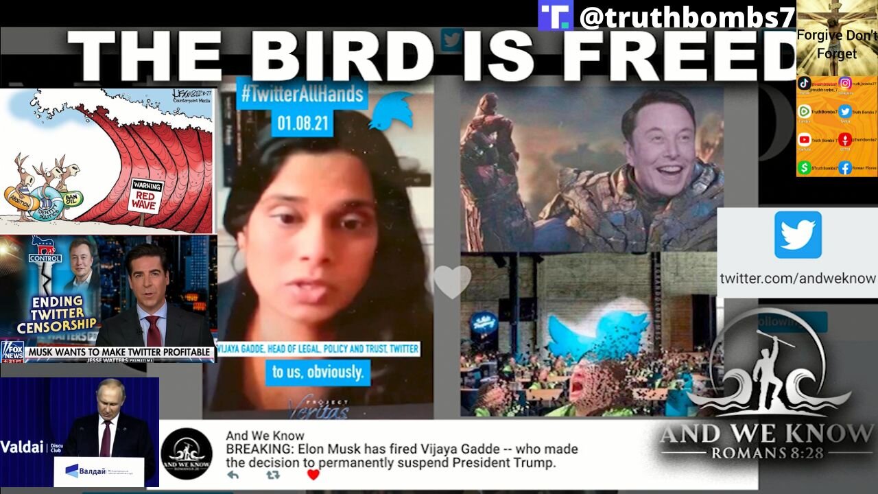 10/28/2022 Cue up Rockin Robin, MANY are CELEBRATING MUSK takeover, 20% Slides MATCHING UP! PAIN! PRAY!