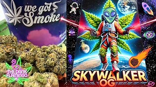 Trying Sky Walker OG THCa from Lit Farms! The Dank Flamingo Cannabis Review!!