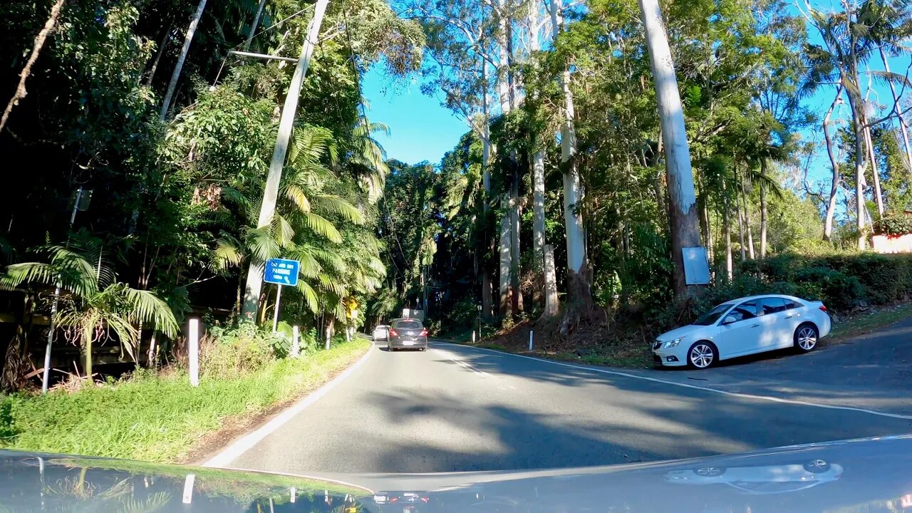 Mount Tamborine Drive | Queensland - Australia