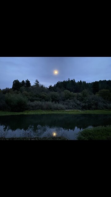 The moon is here tonight