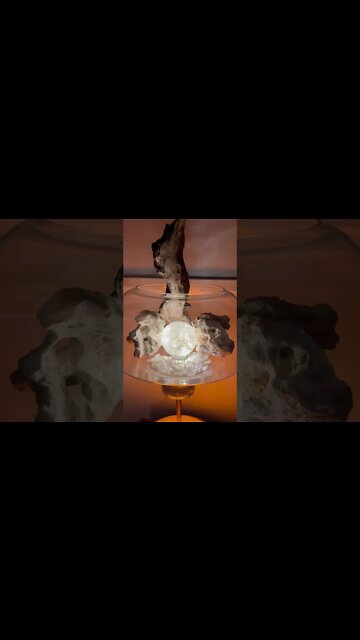 Re-using old lights to make something new (: