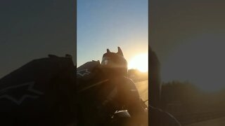 Ninja ZX-6R sunset ride