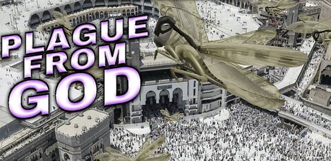 LOCUST INVASION IN MECCA. A BIBLICAL SIGN OF THE END TIMES?