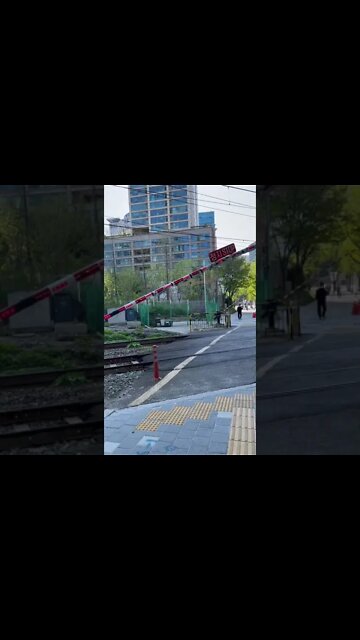 철길 건널목 서소문 서울시청 서울역