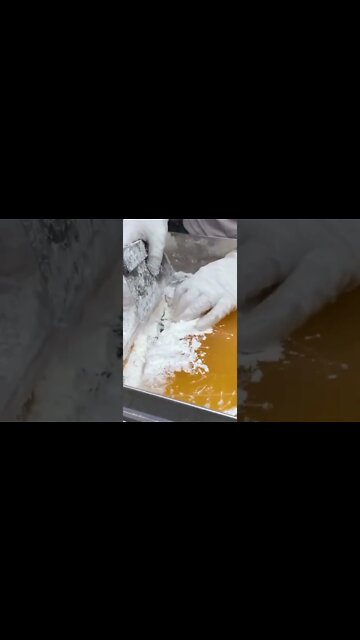 #shorts #2022 funny,prank,funjokes,dad jokes,funny memes,funny video,fun,laughing,funny animal,knock