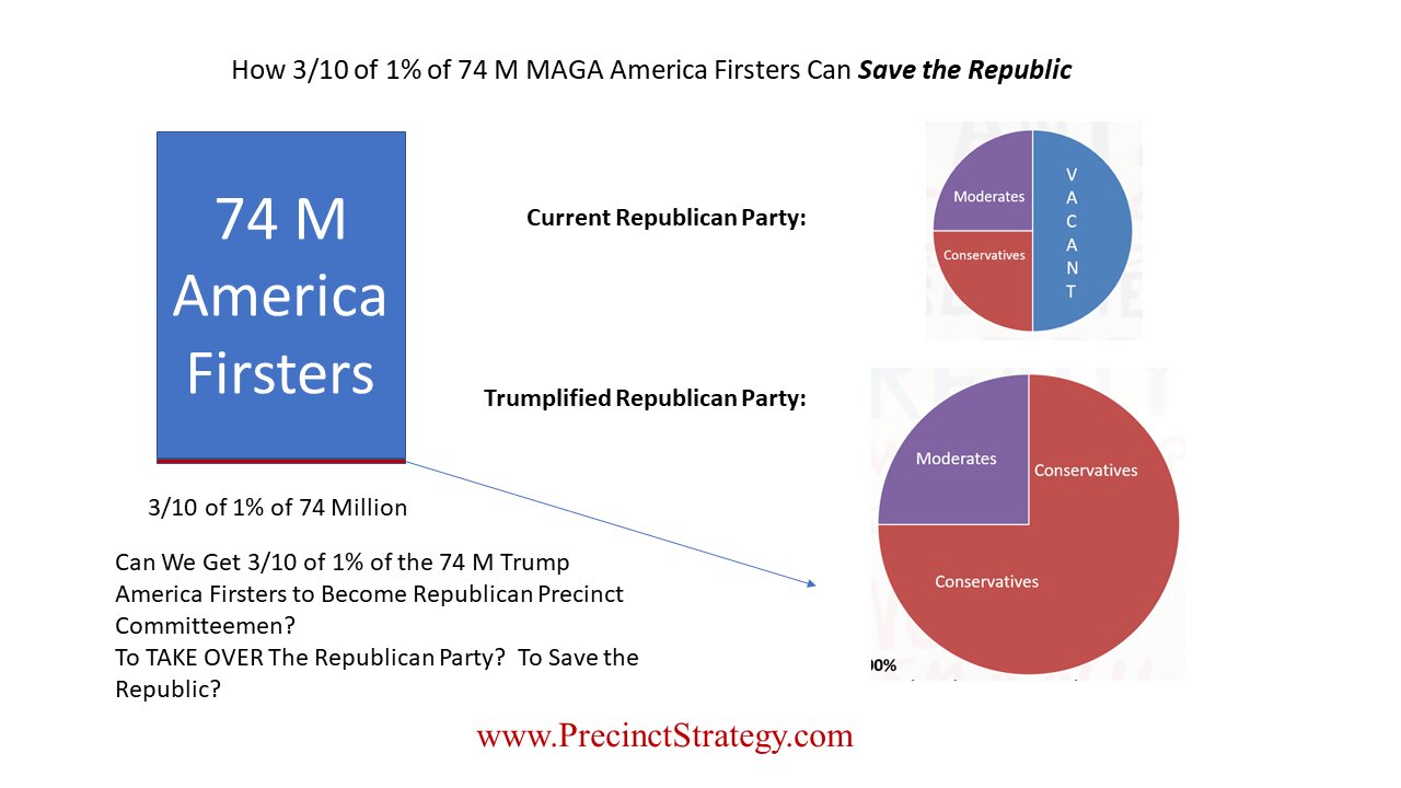 Precinct Strategy Two Key Graphics to Study. Dan Schultz June 8 2023