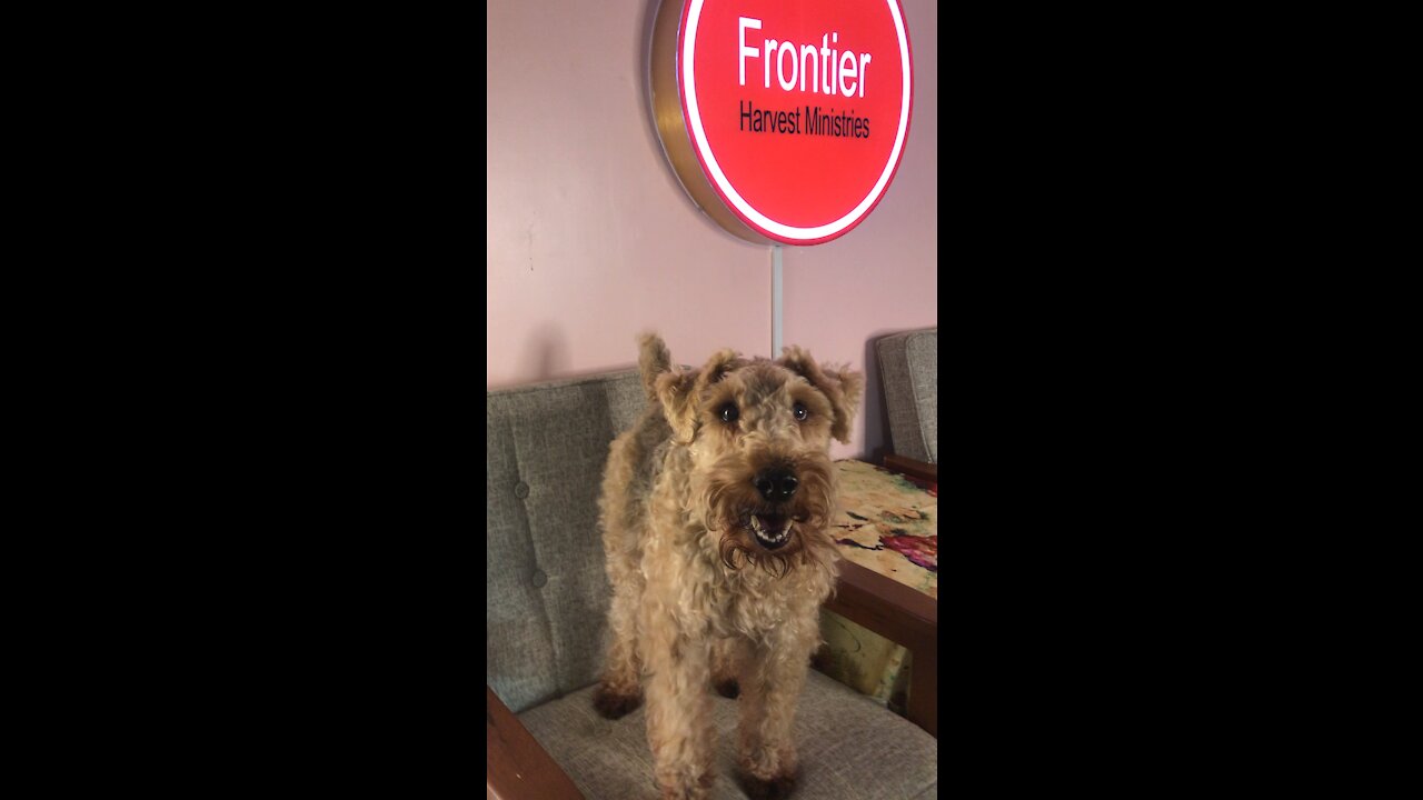 Oscar wants to do a Show