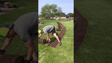 Lawn Transformation 🤯