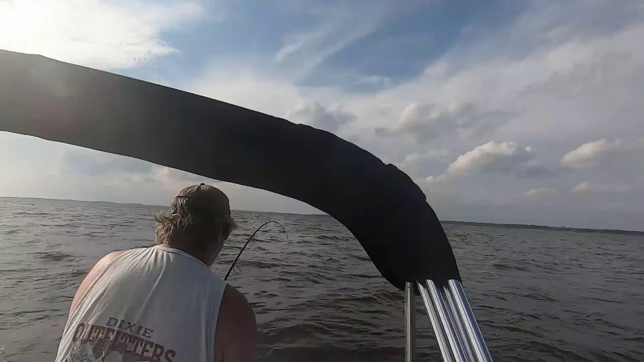 Father in laws first time out