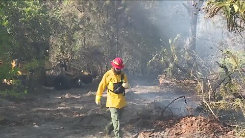 Florida Forest Service Preparing For What Could Be Active Fire Season