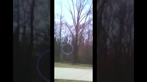 Fairy caught on Camera in Georgia! #fyp #nightgod333 #shorts