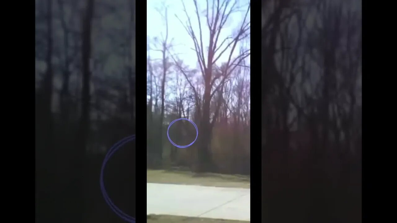 Fairy caught on Camera in Georgia! #fyp #nightgod333 #shorts
