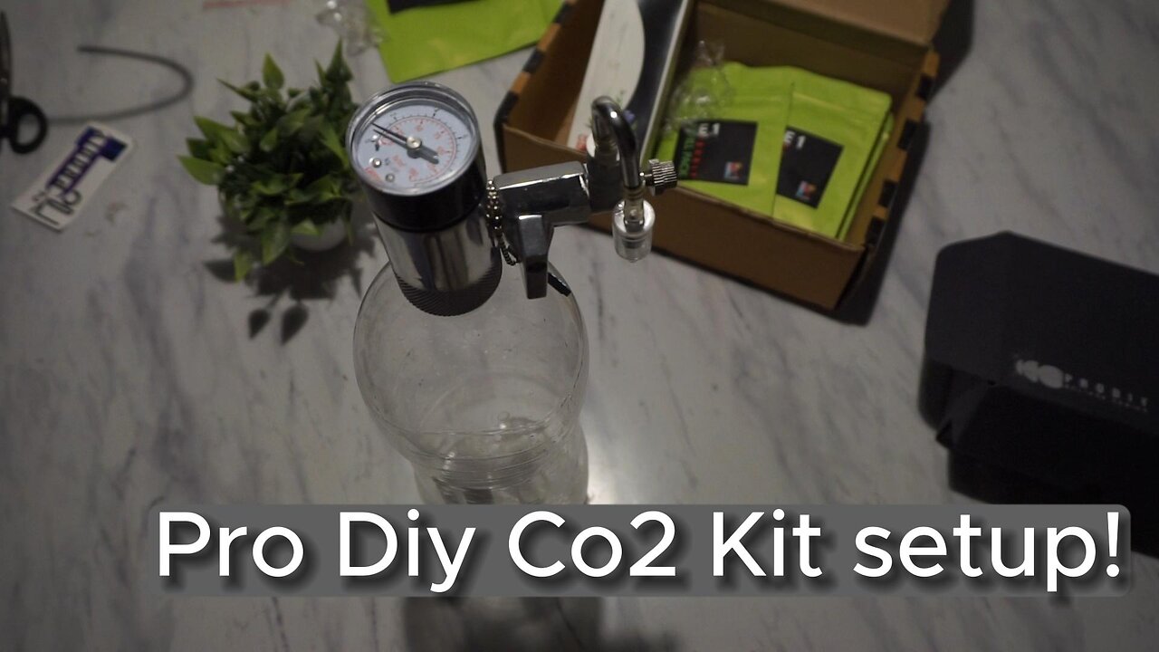 Diy co2 kit for planted aquarium