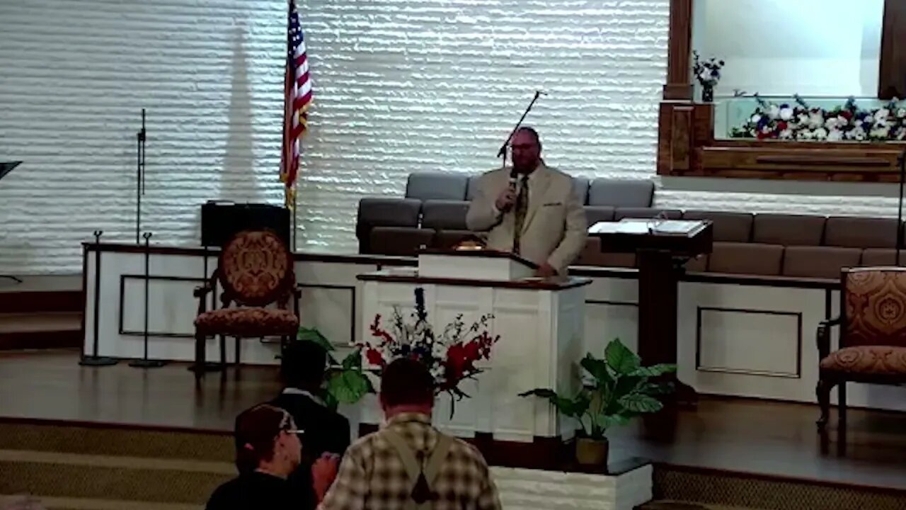 Summer with David: Gentle Shepard Chosen