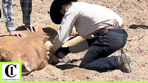 Wild Cow Milking - Rail 3 Ranch Rodeo