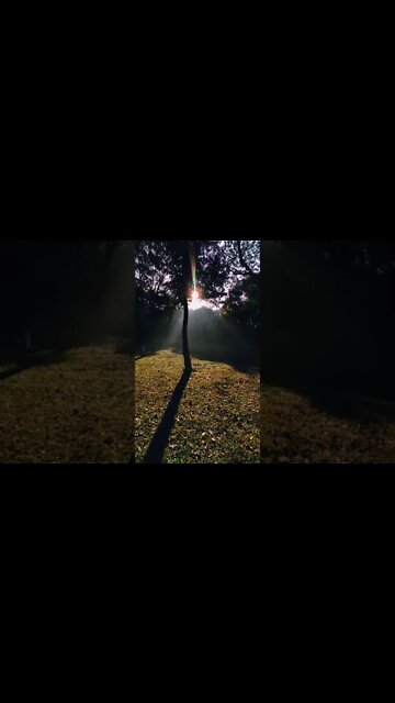 Best Relaxing Sound & Video | Ambient | #shorts