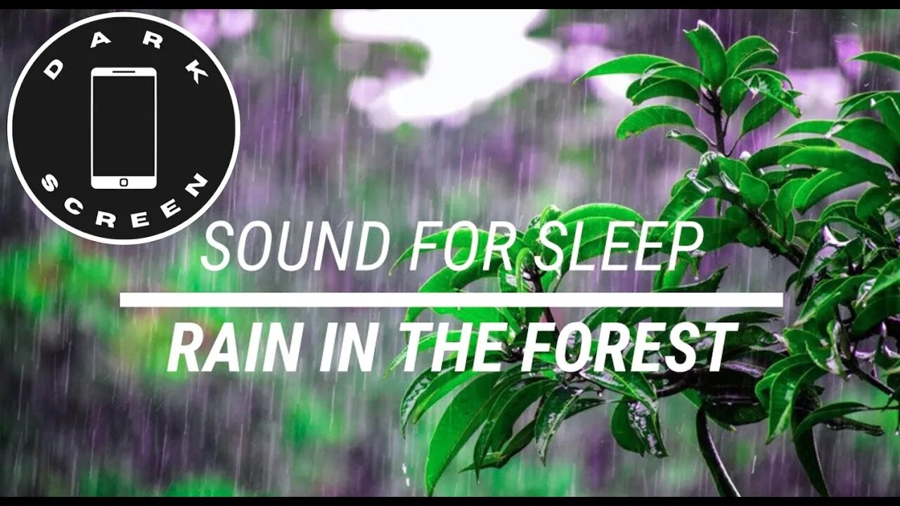 Sound for sleep Rain in the Forest Dark Screen 5 hours