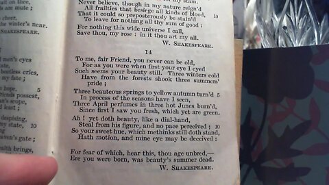 To me, fair Friend, you never can be old - W. Shakespeare