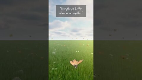 Butterflies in a field #nature #butterflies #togetherness