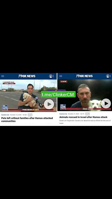 The bull helps the turtle roll over into the correct position. 👏🏻👏🏻👏🏻