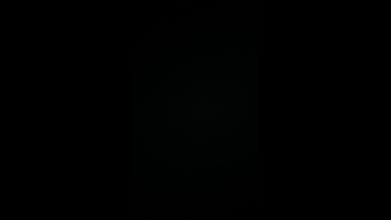 Dolt
