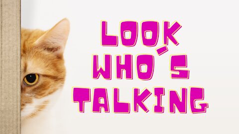 Cats talking !! These cats can speak English better than hooman