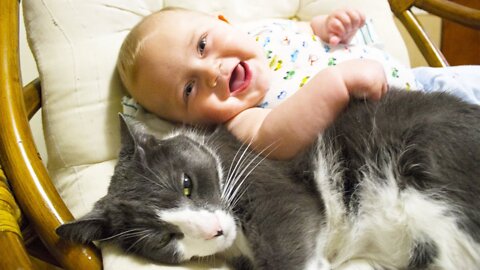 Funniest Baby And Cat - Funny Baby and Pets Moments